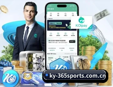 365体育 APP 深度功能