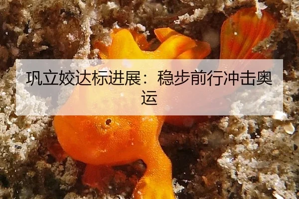 巩立姣达标进展：稳步前行冲击奥运